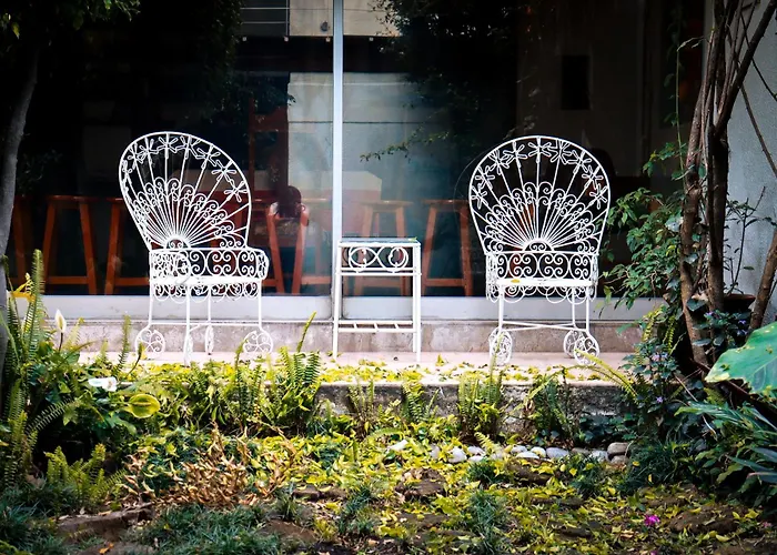 Hostal Cuija Coyoacan Berlin 268 Coyoacan México DF